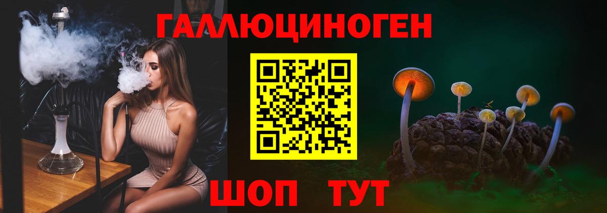 Псилоцибиновые грибы GOLDEN TEACHER Мелеуз